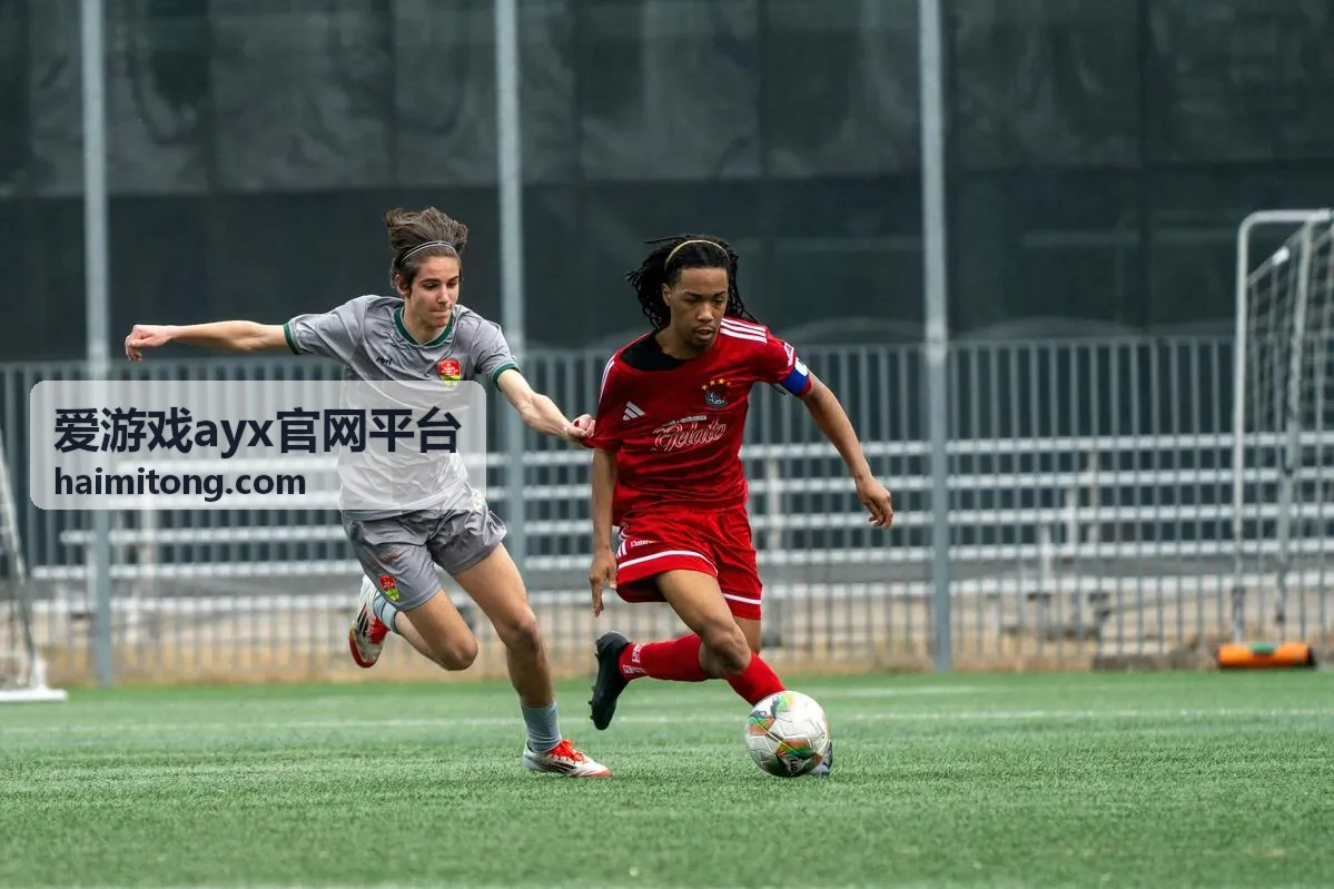 任务进度与阶段提示示意