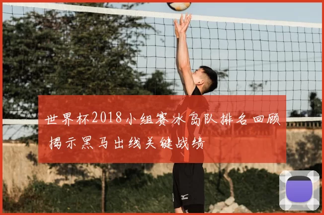 世界杯2018小组赛冰岛队排名回顾 揭示黑马出线关键战绩