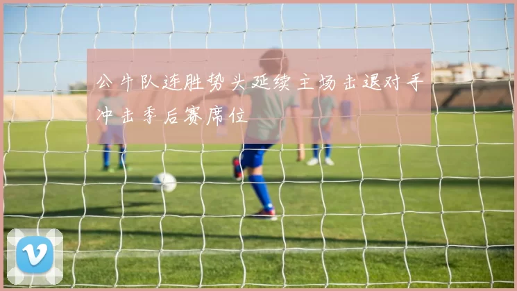 公牛队连胜势头延续主场击退对手冲击季后赛席位